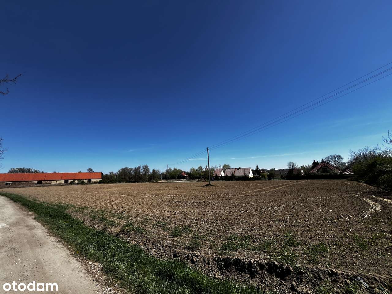 Duża 50 arowa działka z miejscowym planem zagospodarowania Pieszyce-4