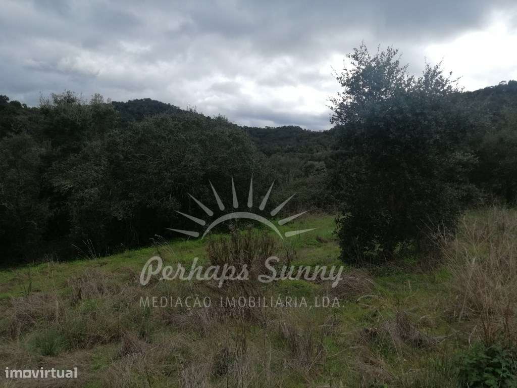 Quinta em Relíquias - Odemira-22