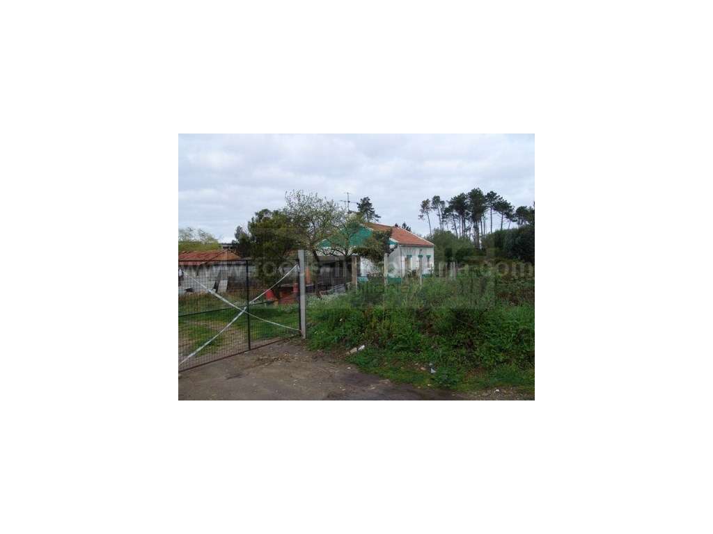 Terreno com moradia para venda - Esgueira - Grande imagem: 3/6