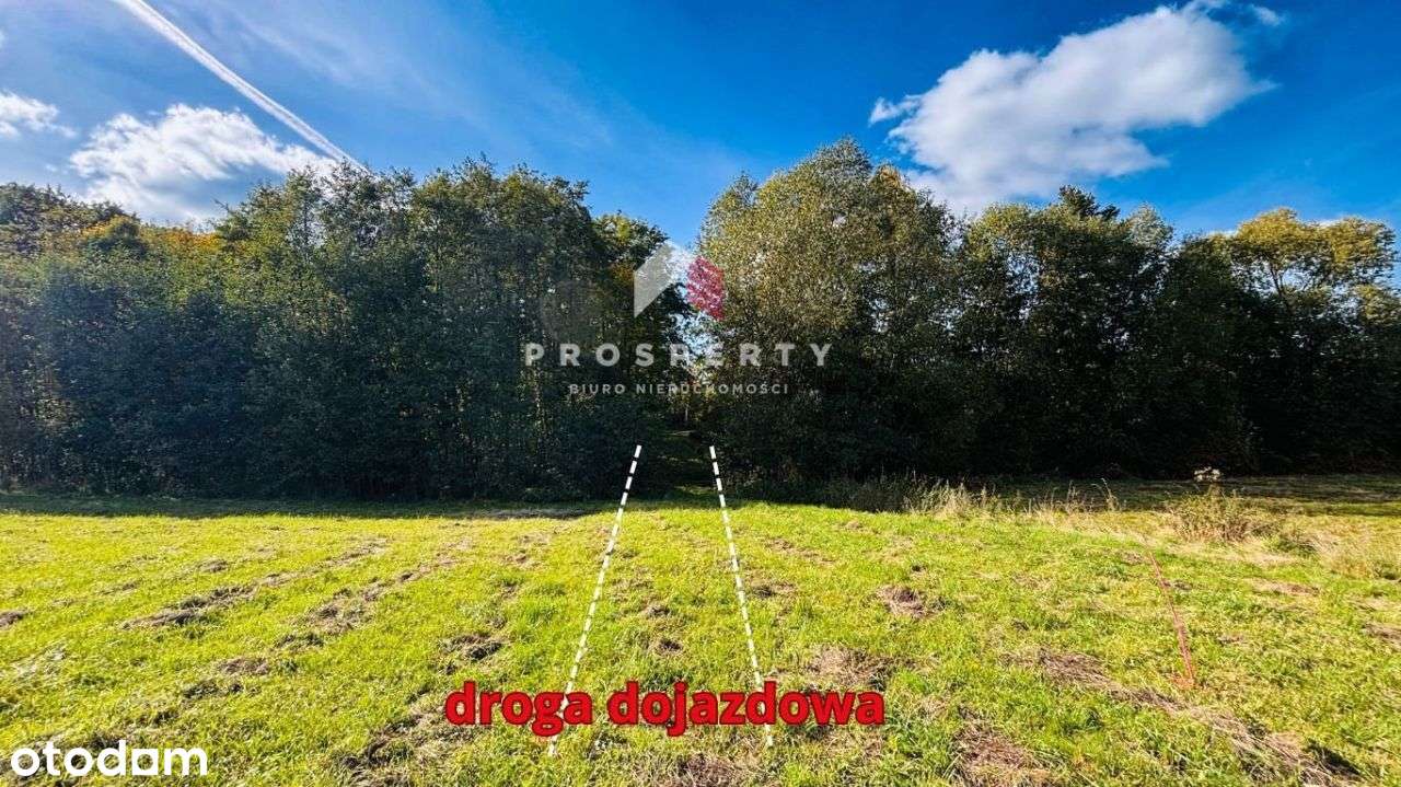 Działka budowlana pod lasem Kozy-6