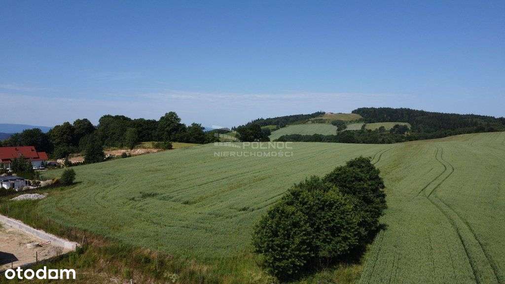 Malownicza działka w Dziwiszowie, Zielone Wzgórze! - Pełny obrazek: 4/12