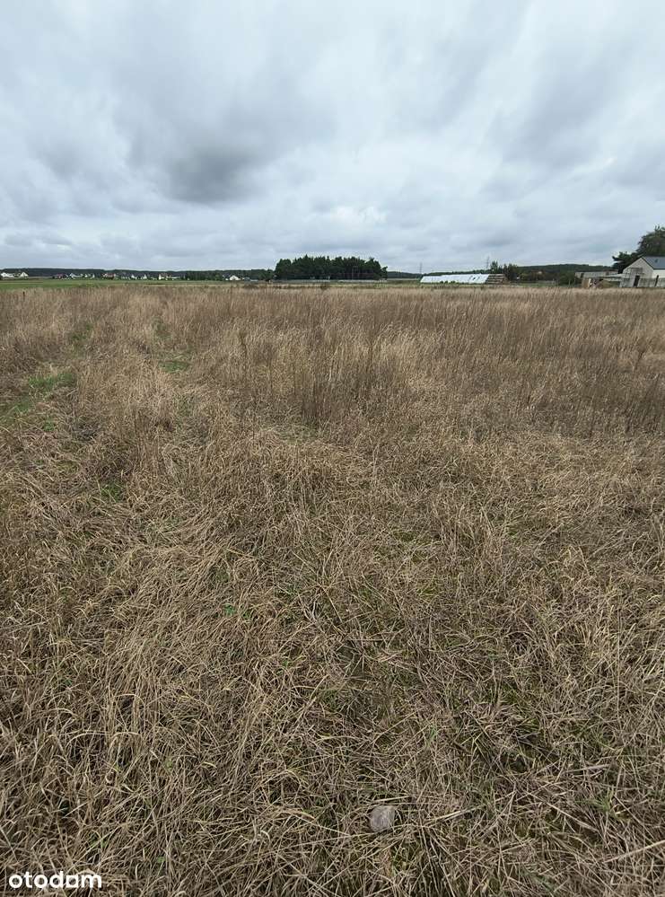 DZIAŁKA BUDOWLANA NA SPRZEDAŻ – GRODZISK WIELKOPOLSKI - Pełny obrazek: 5/5