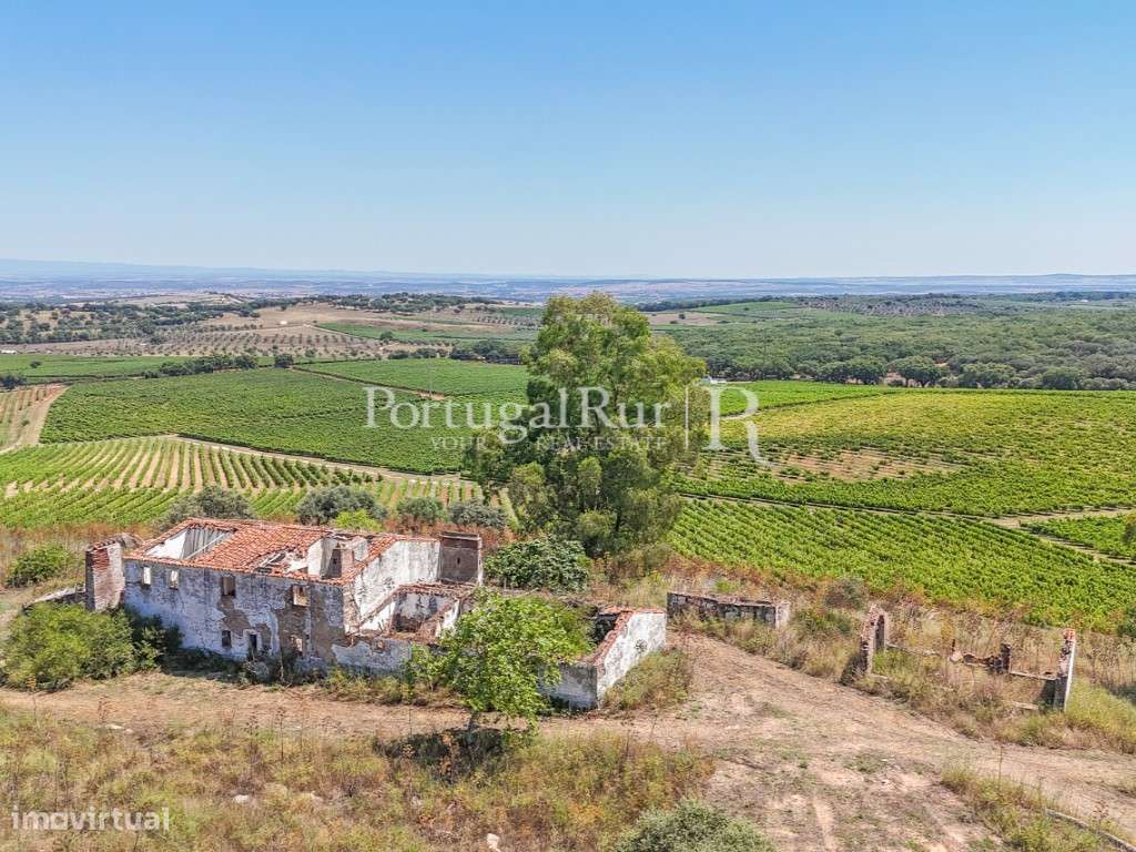 Herdade de 20,6 hectares com vinha e vocação turística - Grande imagem: 2/43