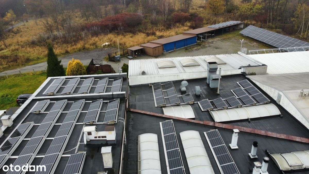 797764 - Pełny obrazek: 5/17