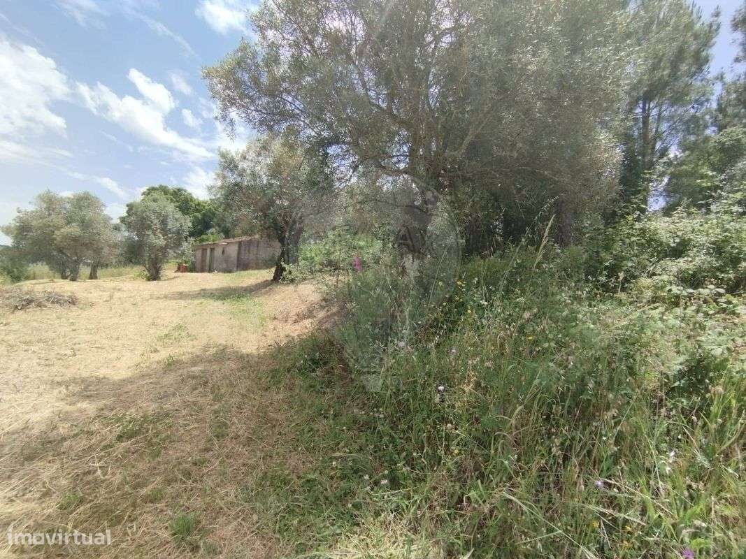 Terreno  para venda - Grande imagem: 2/6