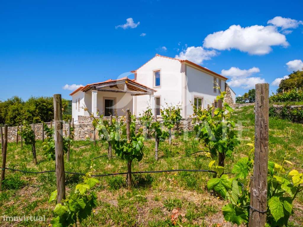 Quinta - 11 hectares com 6 casas, na Serra de São Mamede, Alentejo-10