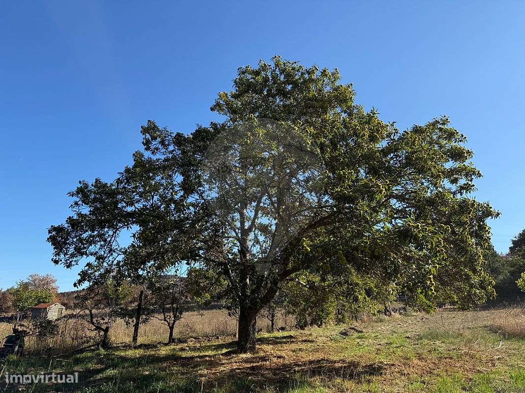Terreno  para venda - Grande imagem: 4/5
