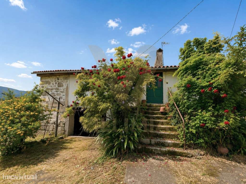 Casa Antiga T3 para Restauro | Facha - Ponte de Lima - Grande imagem: 3/30