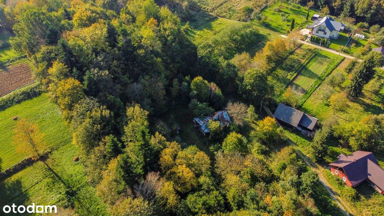 Działka pod zabudowę jednorodzinną Wesoła - Pełny obrazek: 5/11