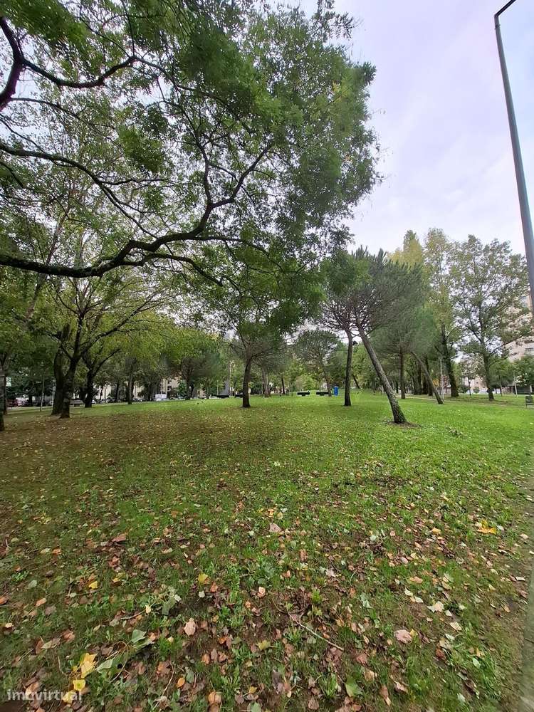 Apartamento T2 com 2 Garagens | Rua Prof. Antão de Almeida Garrett - Grande imagem: 4/26