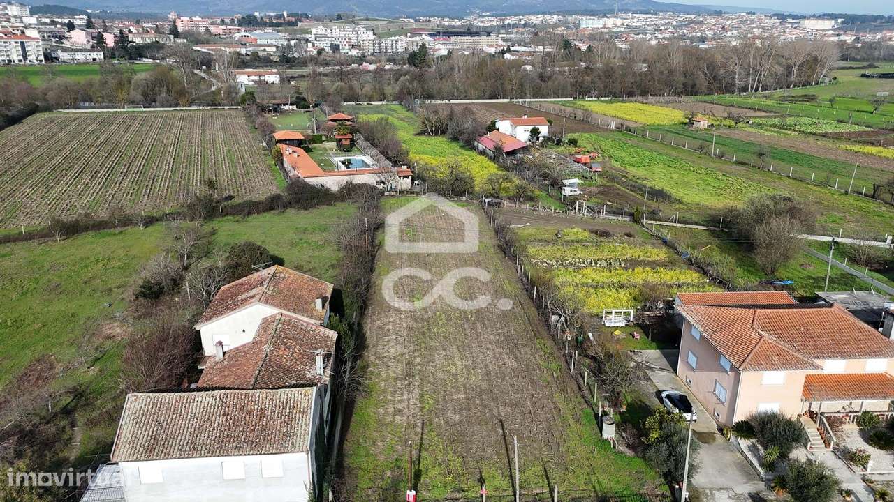 Terreno Rústico com Excelente Acesso e Abundância de Agua para rega –-10