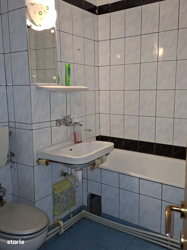 Apartament Craiovița-11