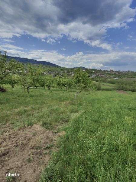 Teren intravilan 8600mp - Imagine principală: 5/5