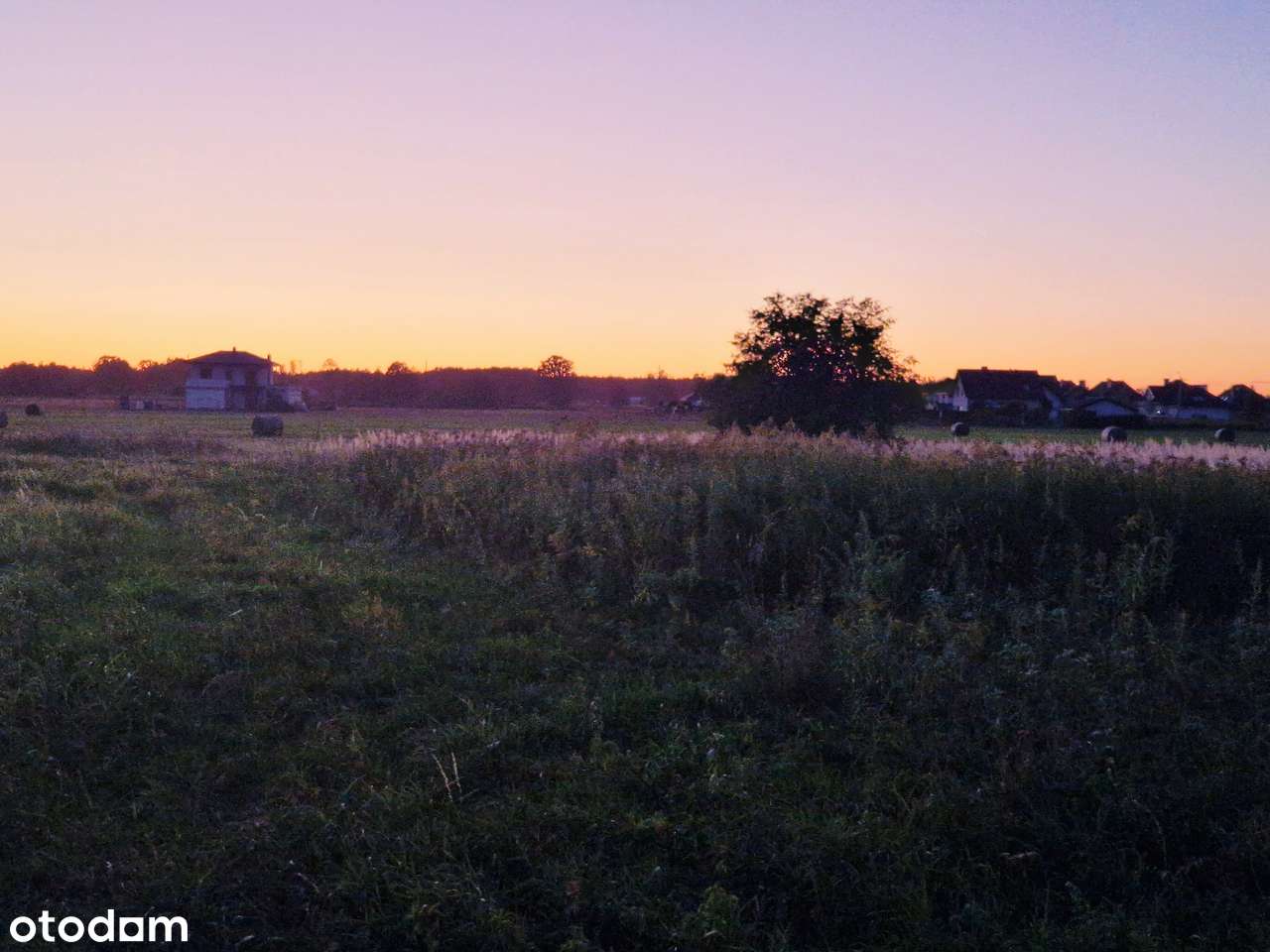 Działka rolna 1,42 ha Wola Rasztowska - Pełny obrazek: 2/4