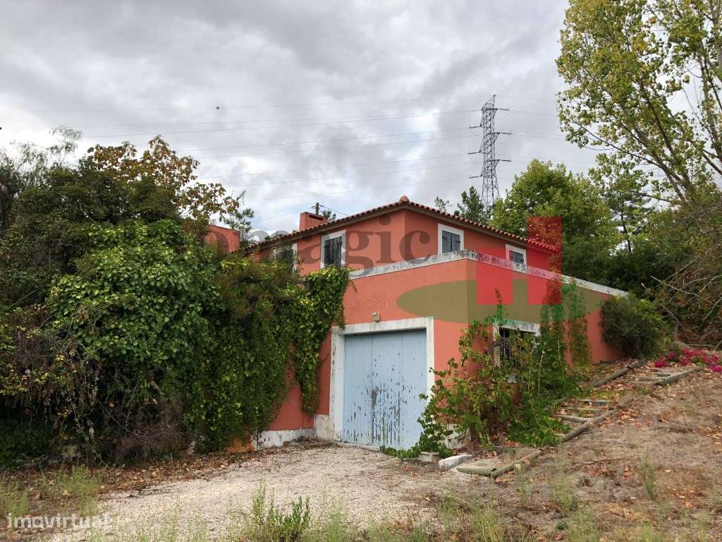 Quinta com 2 Casas de Campo, Olival e Vinha em Azambuja - Grande imagem: 4/60