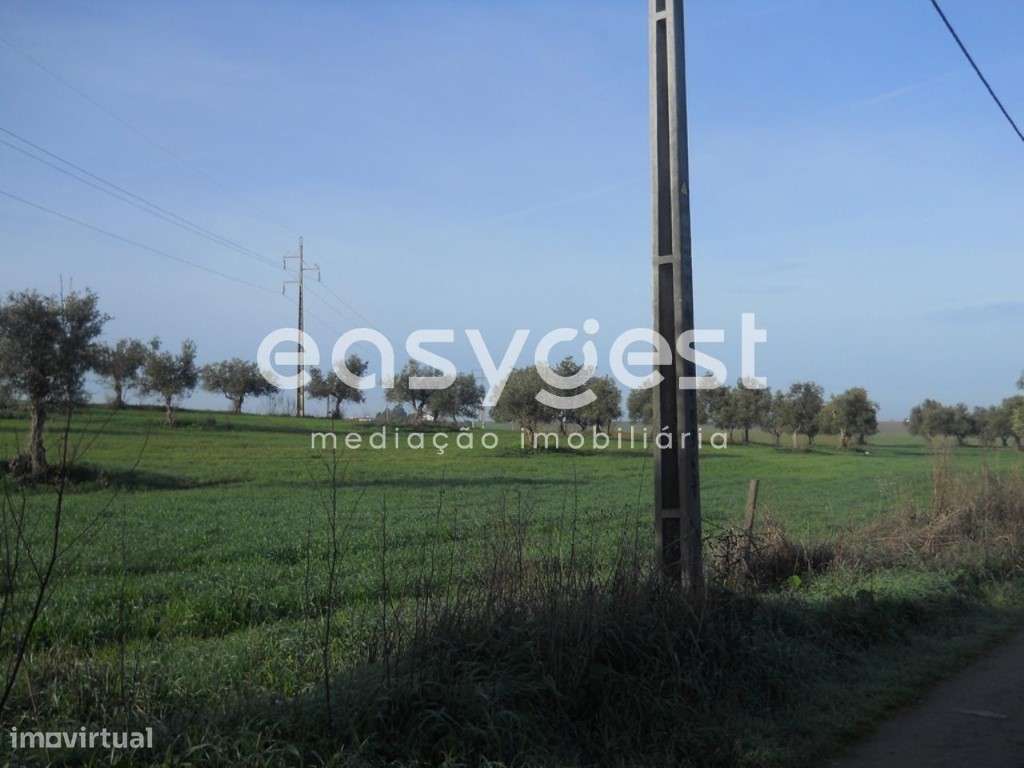 Terreno de 16.500m2 em Aljustrel - Grande imagem: 5/11