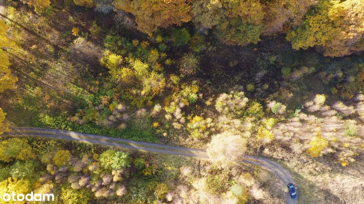 Urokliwa działka przy lesie – 16 ar, plan zagospodarowania, Milicz - Pełny obrazek: 5/9