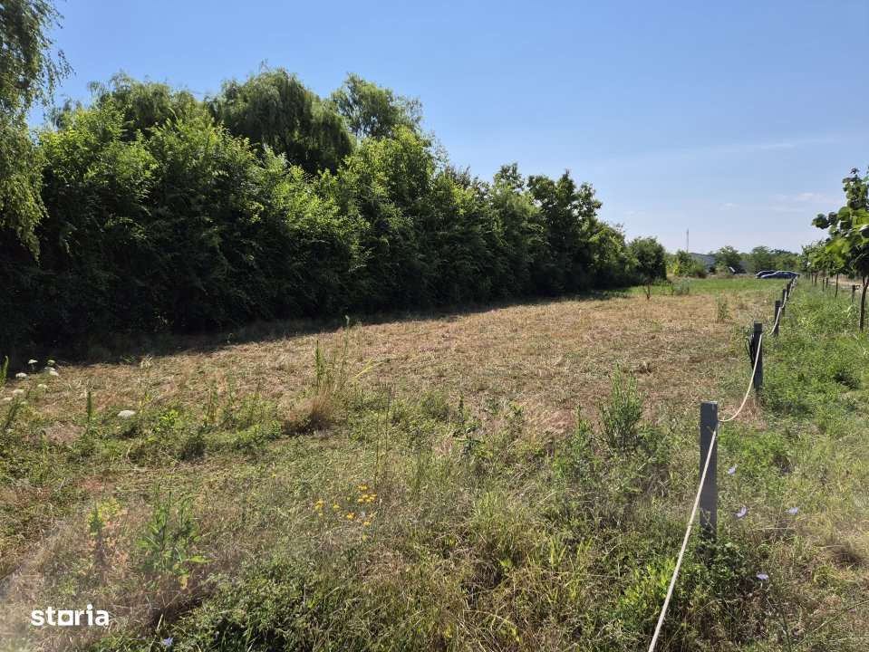 Priveliste spre lac! - Imagine principală: 5/11