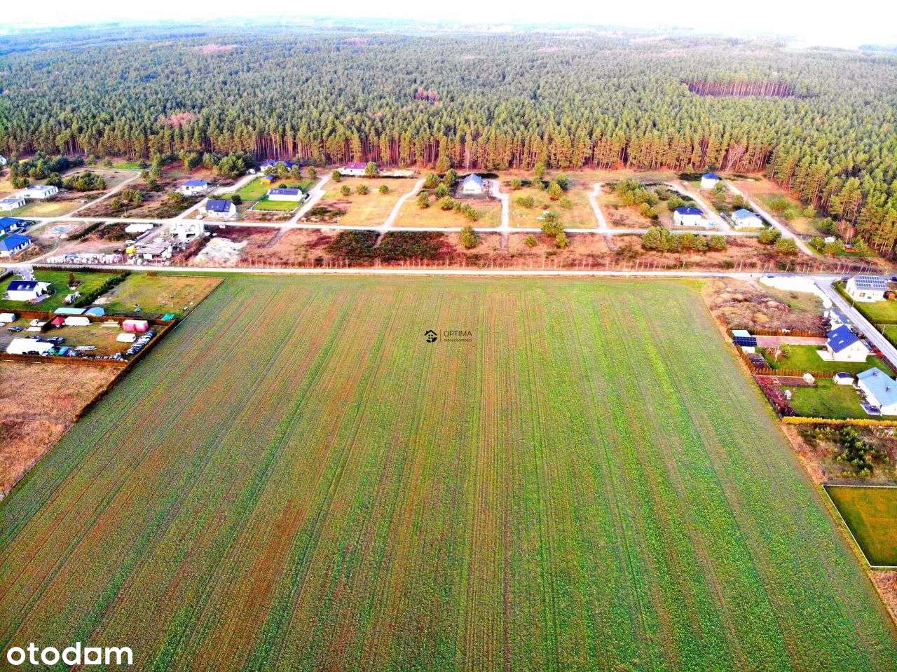 Okazja 1z54 działek z widokiem na las obok Vilpark - Pełny obrazek: 5/7