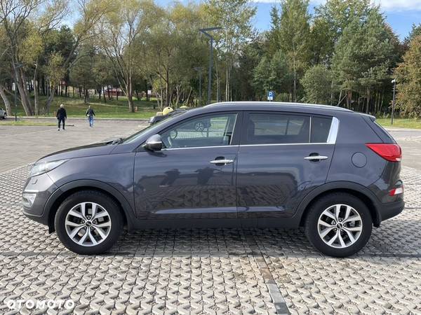 Kia Sportage 1.6 GDI Business Line L 2WD - 7