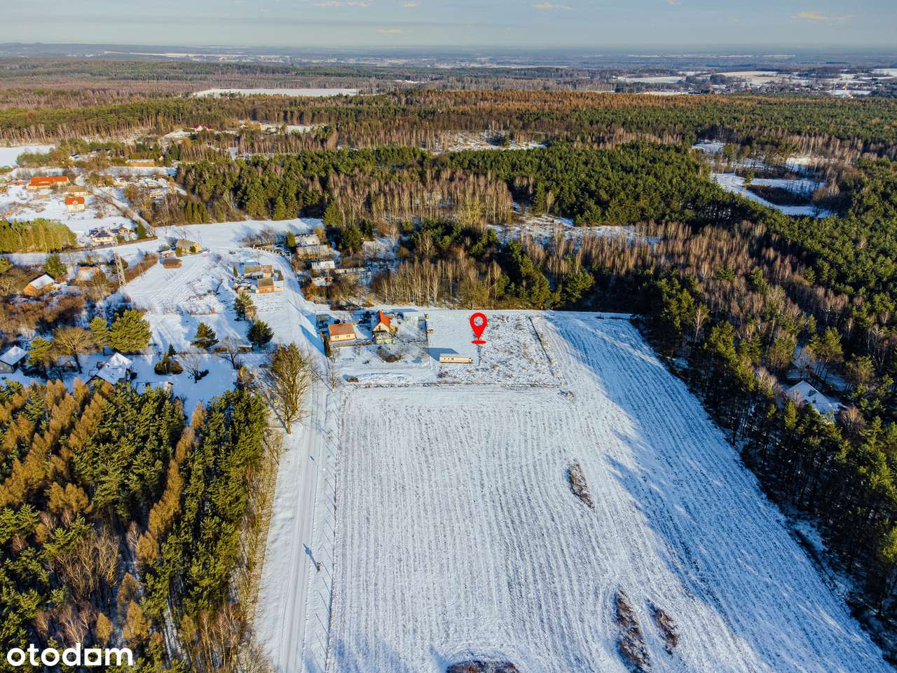 w lesie | nasłoneczniona | woda na działce-4