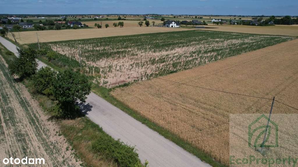 Atrakcyjne działki blisko Tarnowa Podgórnego-6