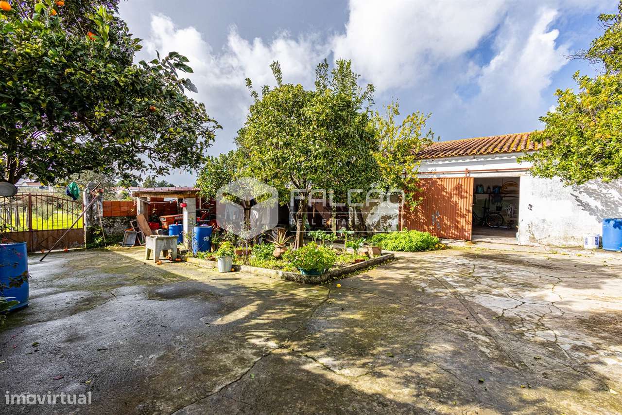 Moradia T4 Venda em Alcanhões,Santarém - Grande imagem: 3/35