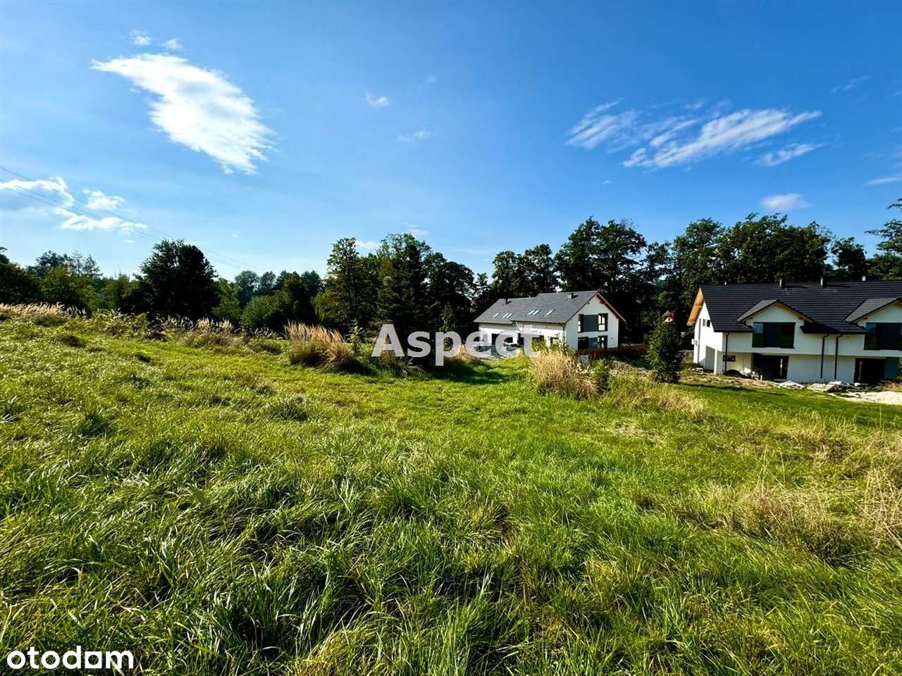 Działka Budowlana Jaworze 1168 m2 - Pełny obrazek: 4/7