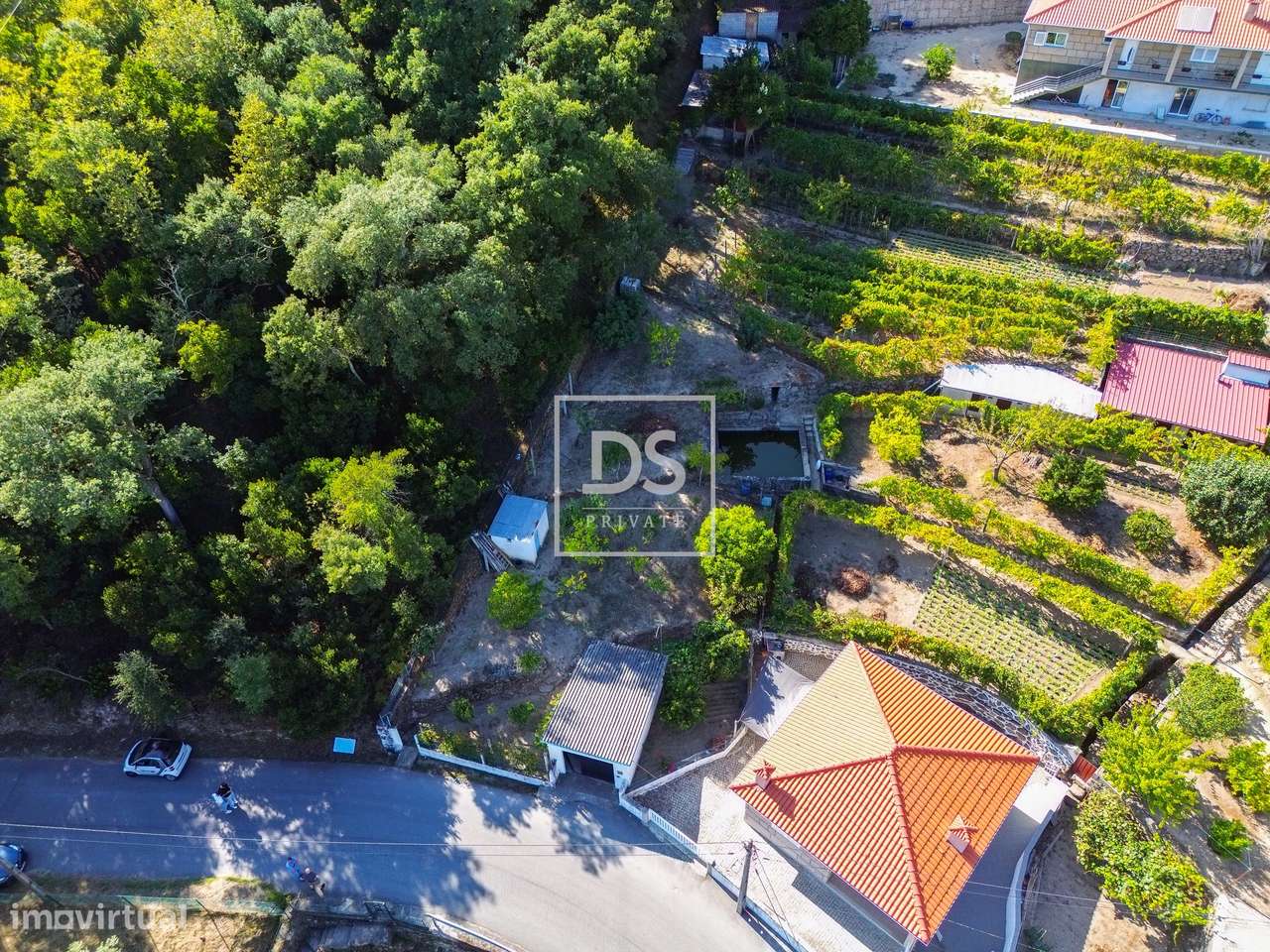 Terreno em Santa Cruz do Douro - Grande imagem: 3/13