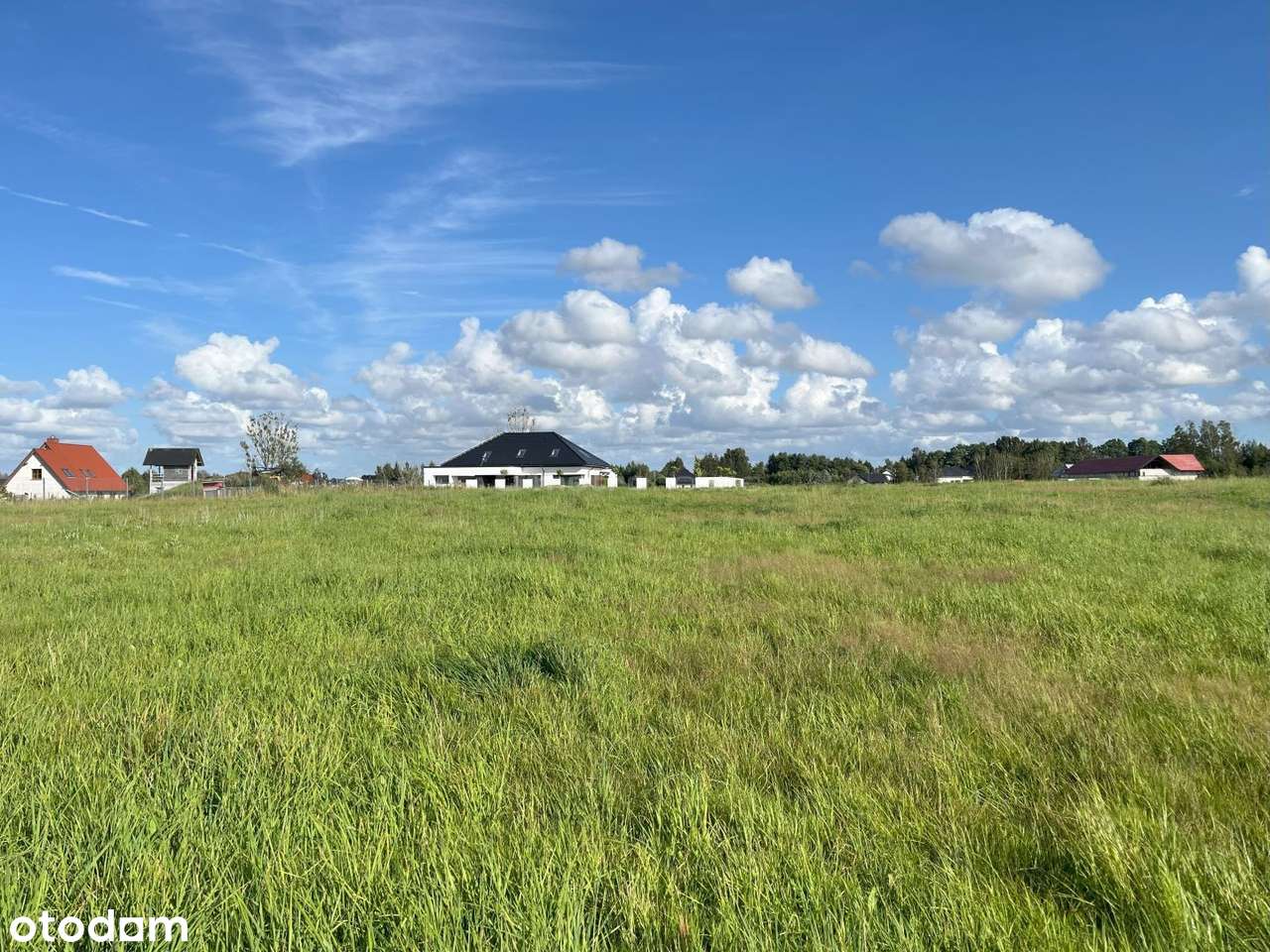Duża działka siedliskowa jedynie 3,5 km od plaży! - Pełny obrazek: 5/7