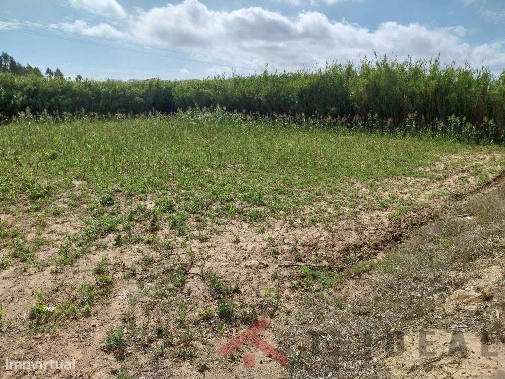 Terreno Rústico - Grande imagem: 5/8