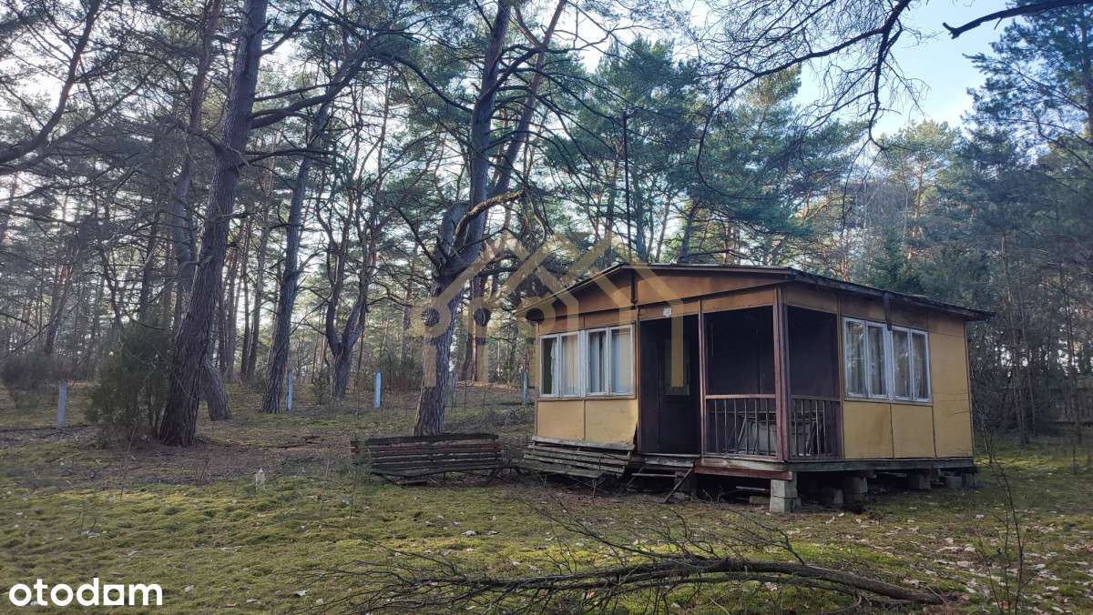 Działka nad Narwią! - Pełny obrazek: 4/16