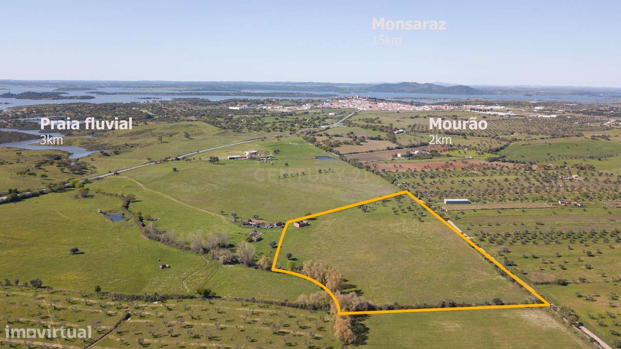 Terreno Mourão - Alentejo-7