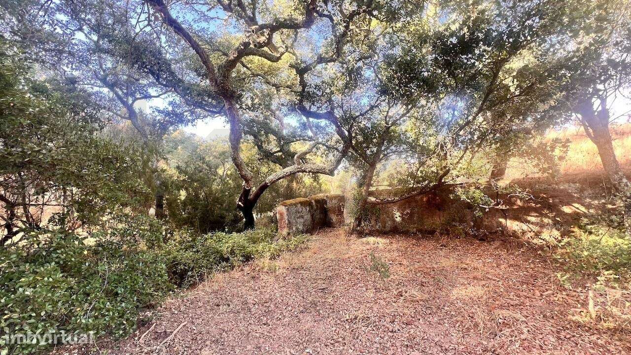 Propriedade única na Serra de Grândola - Terreno de 6,9 ha com vista p-17