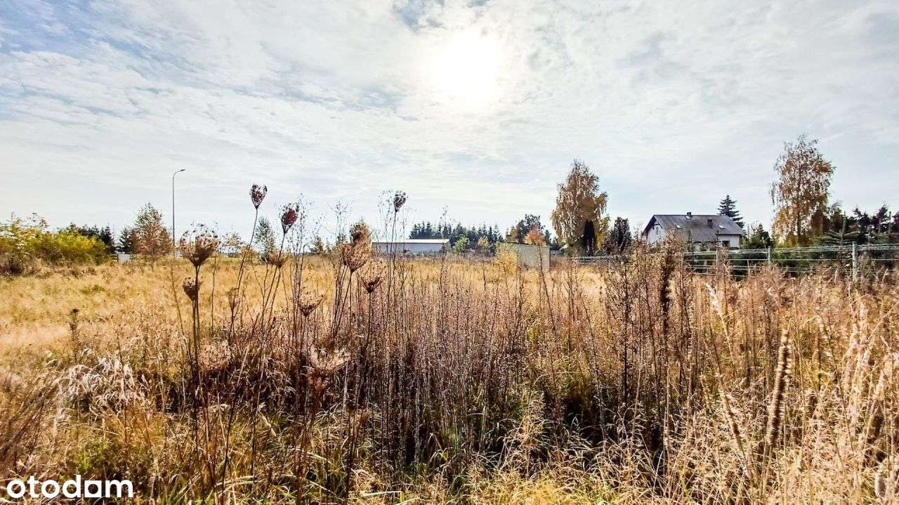 Działka 1246 m2, na sprzedaż - Nieżywięć. - Pełny obrazek: 4/13