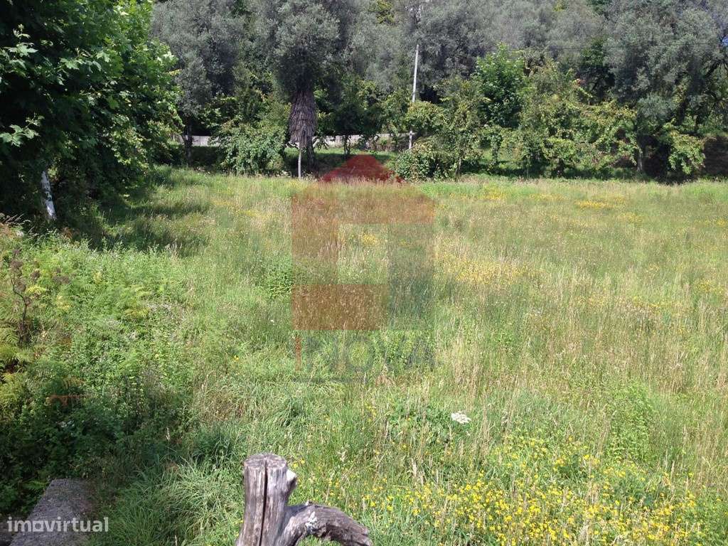 Terreno agrícola, Barros - Grande imagem: 4/12