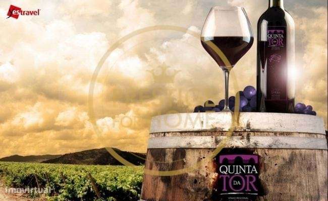 Situado cerca da ponte romana da Tôr, terreno rústico 1366 m2, contêm - Grande imagem: 5/12