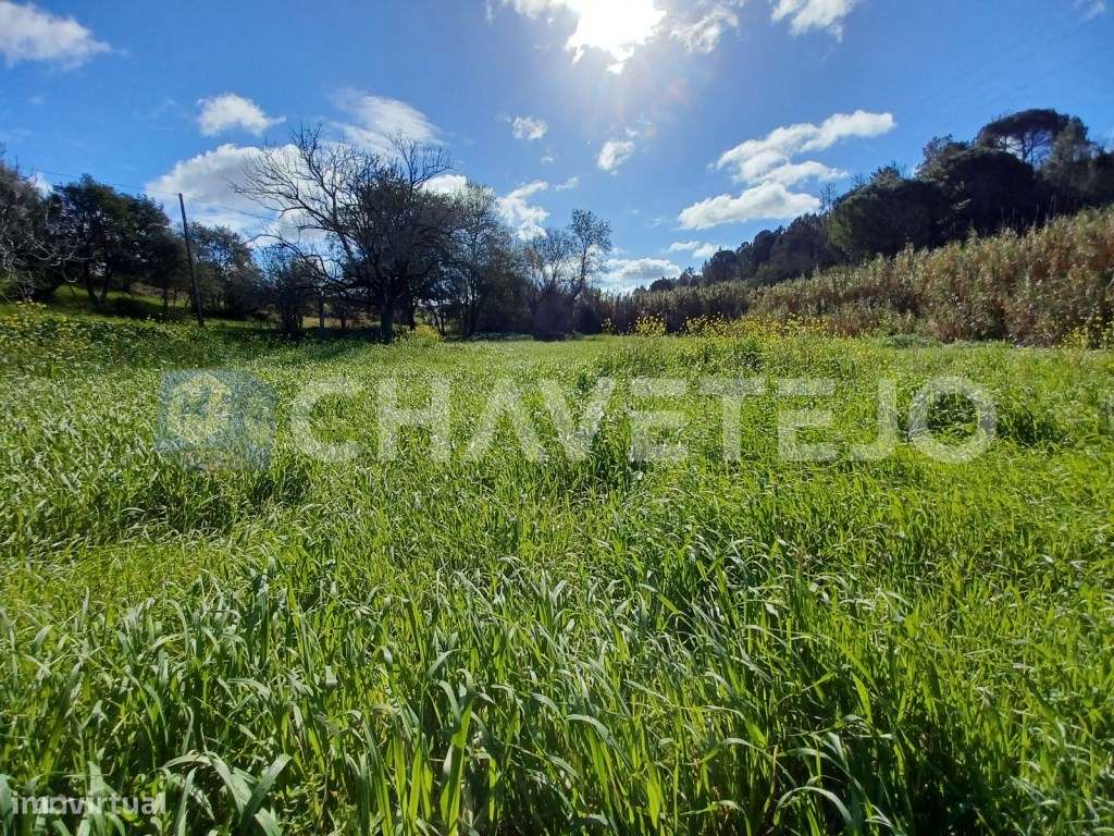 Terreno rústico com 2 poços e tanque perto do Aqueduto dos Pegões. - Grande imagem: 5/7