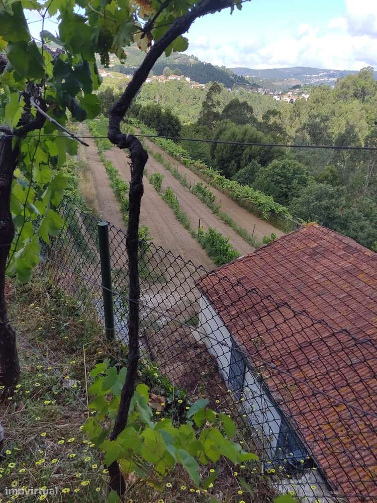 Quinta T7 Venda em Fornos,Castelo de Paiva-9
