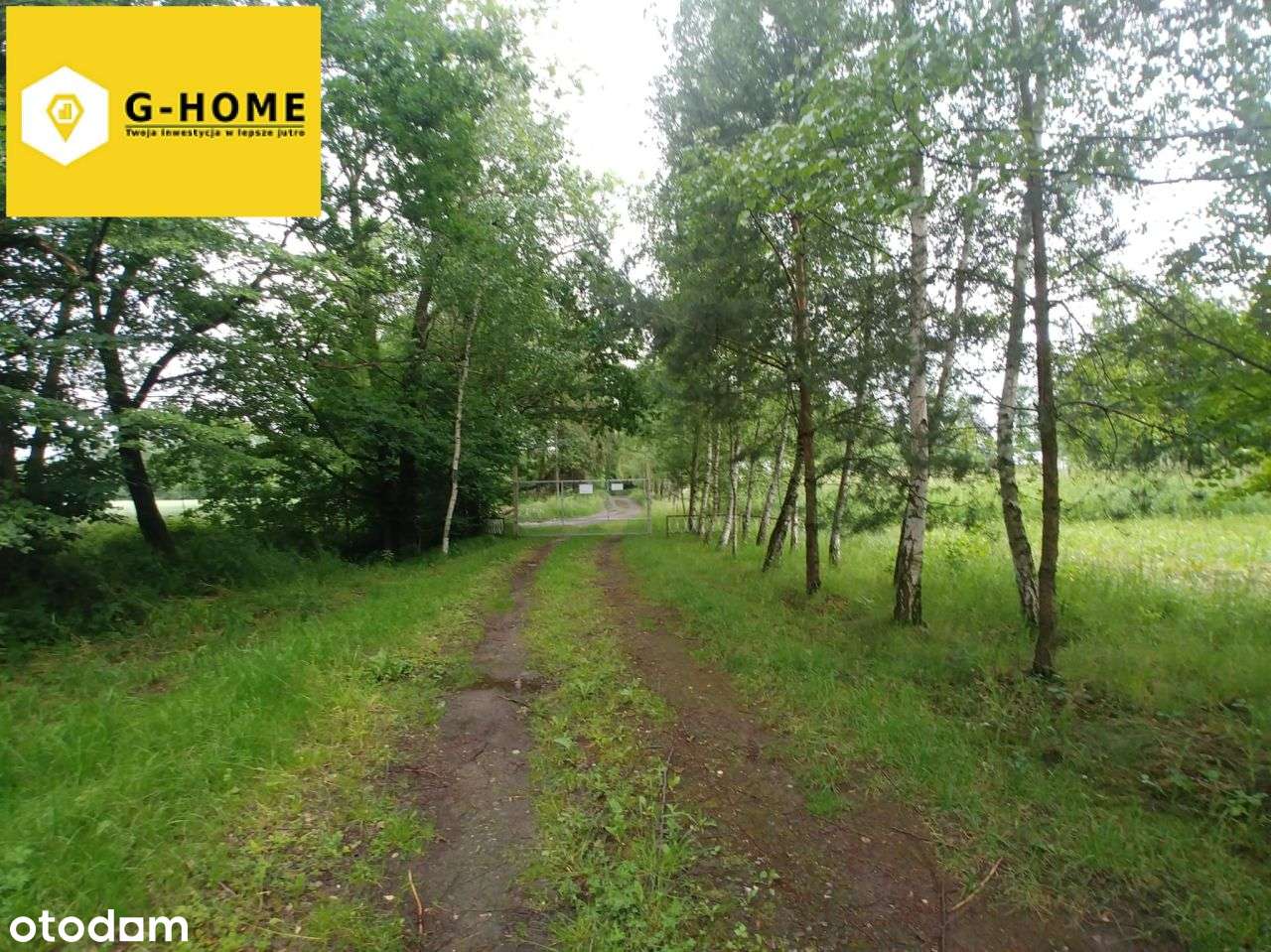 Tereny zielone - Działka z potencjałem-1
