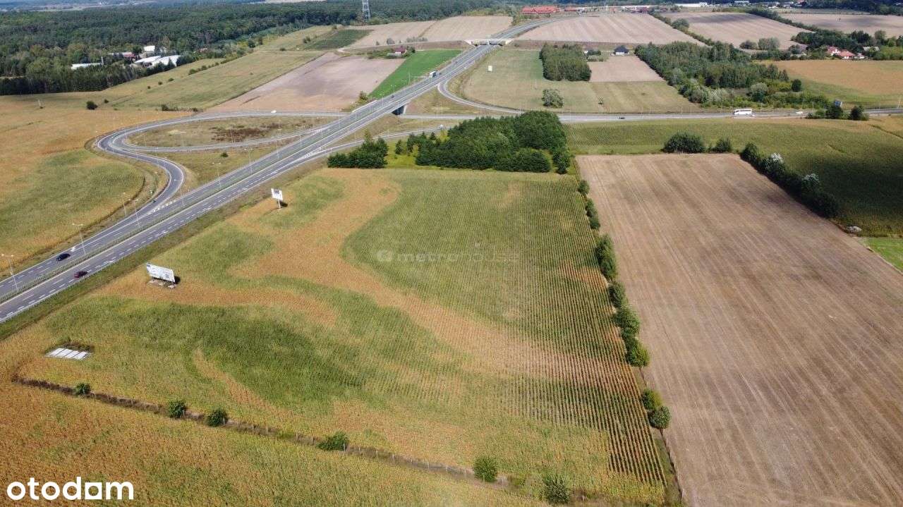 Działka inwestycyjna w Serocku - Pełny obrazek: 4/6