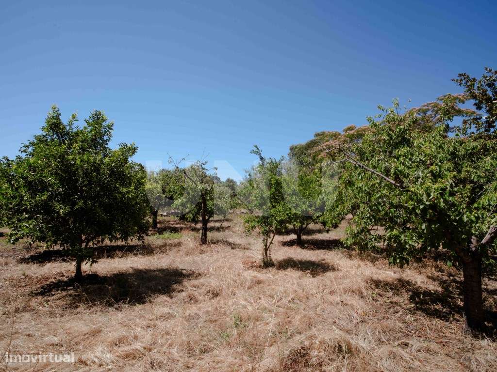 Herdade com 34 Hectares-29