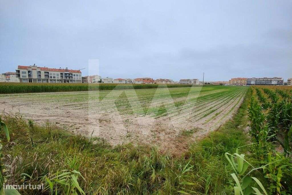 Terreno 11910 m2 localizado no centro da Praia da Vagueira, para const - Grande imagem: 5/6