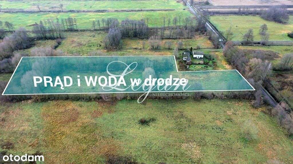 Duża Działka w Dobrej Cenie - 1,56 Ha - Pełny obrazek: 4/5