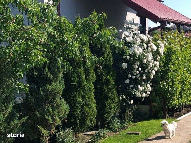 Vila - parter + mansarda -   Sendreni,  jud. Galati - Imagine principală: 2/10