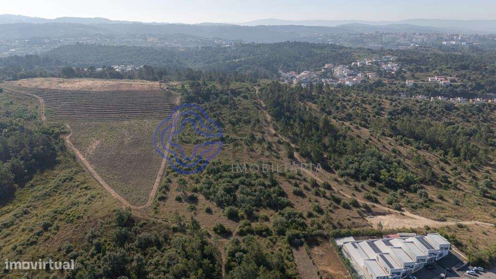 Terreno|Armazém| Grande Retalho|Logística - Grande imagem: 3/18