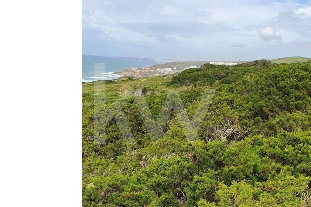 TERRENO FANTASTICA LOCALIZAÇÃO - Grande imagem: 3/7