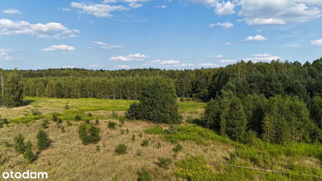 Działki budowlane w otoczeniu lasu-5