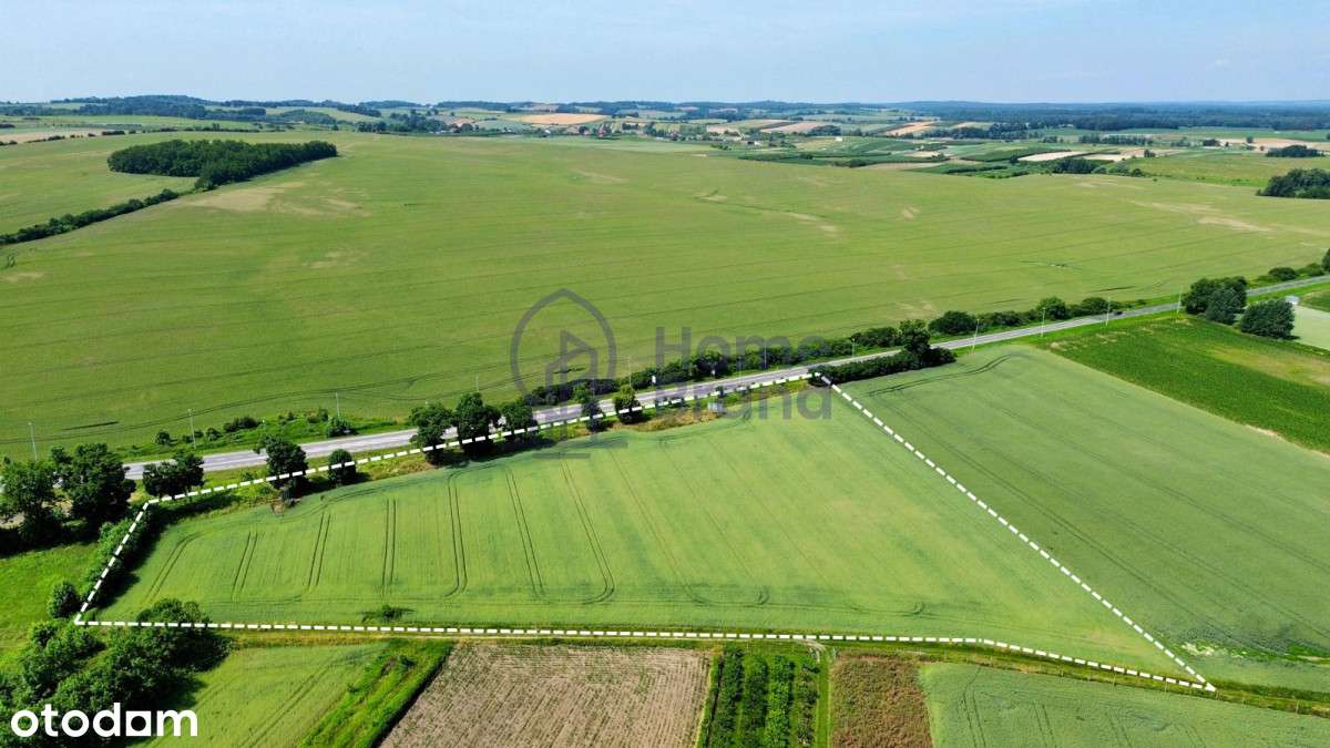 Działka usługowa| obok s5| Trzebnica - Pełny obrazek: 5/7