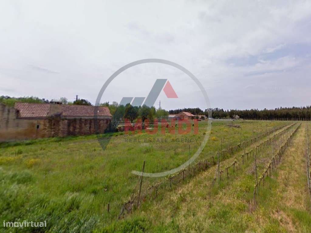 Terreno para construção 17 metros de frente, em a 7 minutos de Cant... - Grande imagem: 2/3